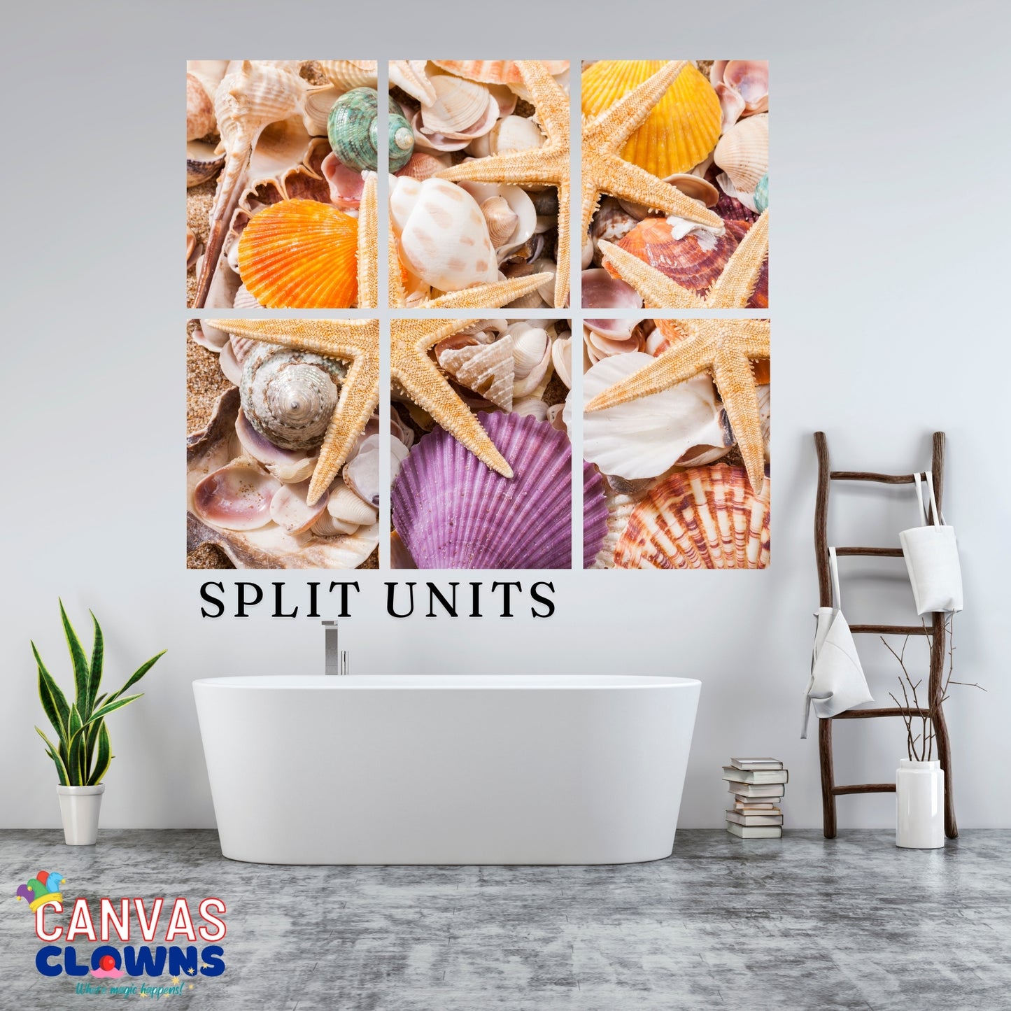 6 piece Split Unit - Colorful Shells