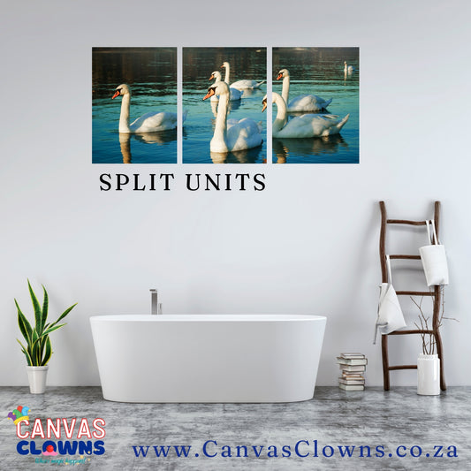 3 piece Split Unit - Swan Lake