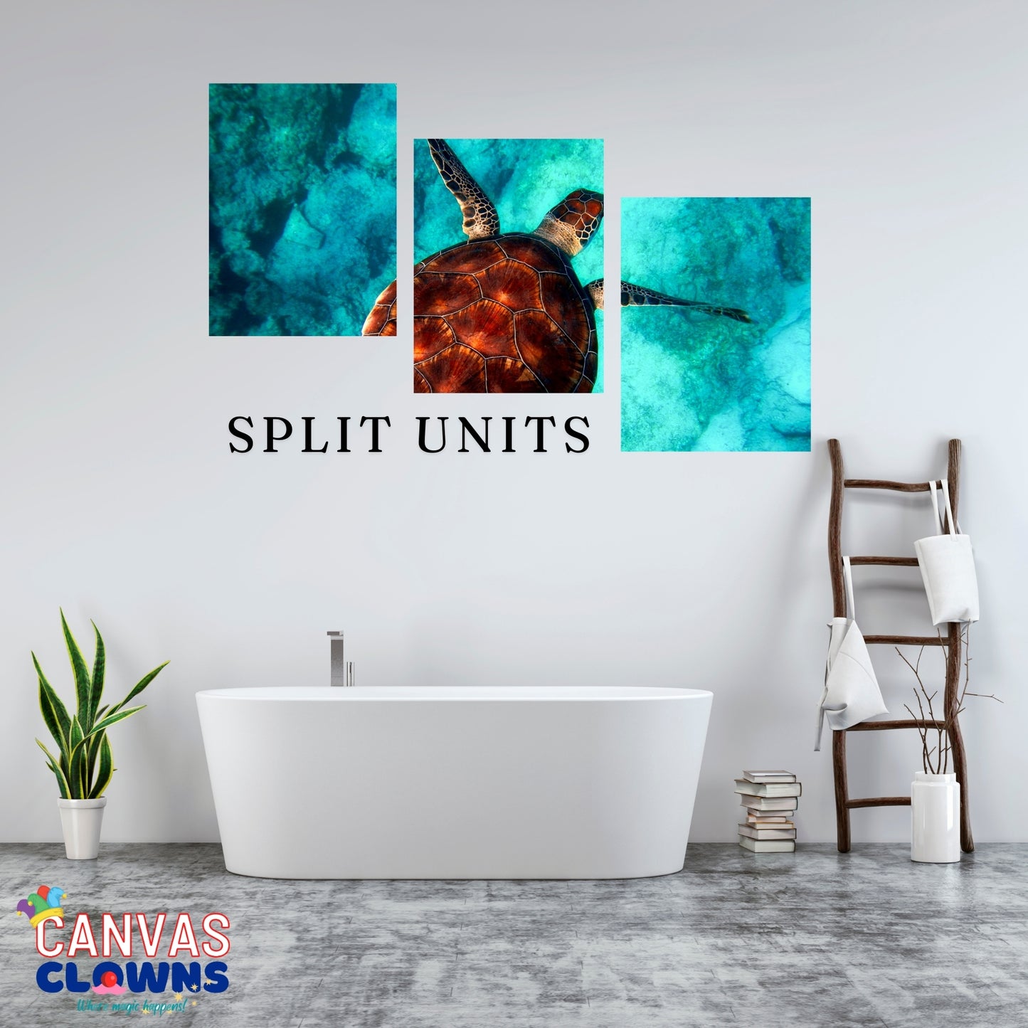 3 piece Split Unit - Water Tortoise