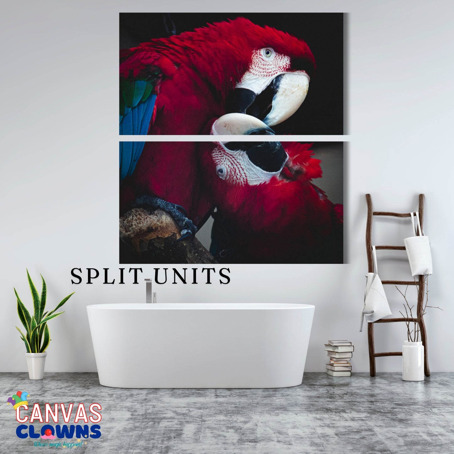 2 piece Split Unit - Parrots