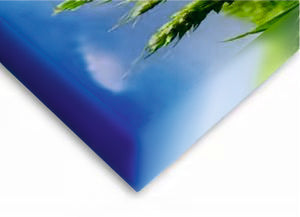 A0 Canvas Print