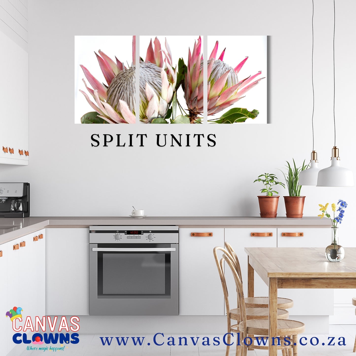 3 piece Split Unit - Proteas