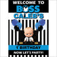 Banners / Backdrop (PVC Matt)