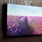 3 Piece Canvas Combo (1 x A4 | 2 x A5)