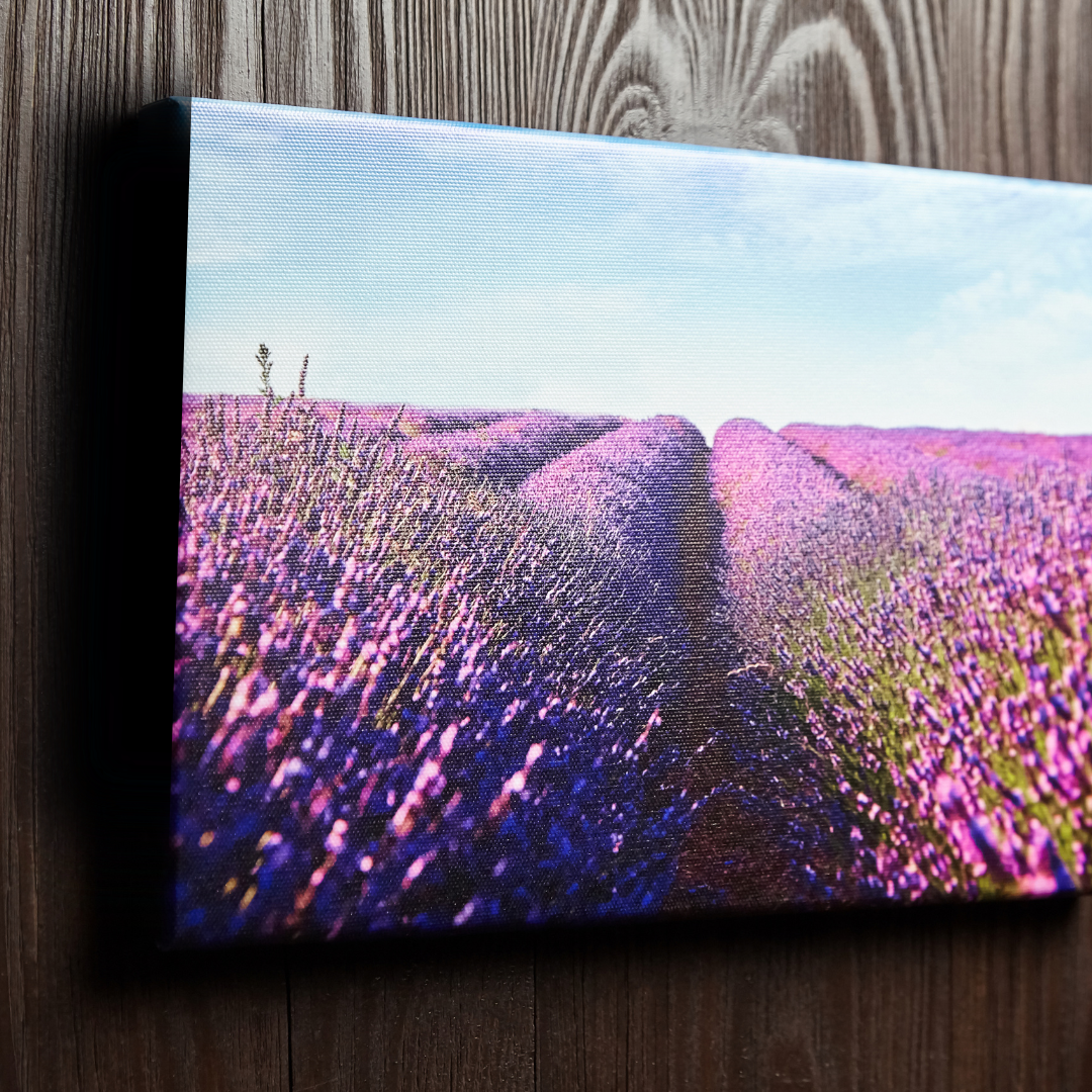 3 Piece Canvas Combo (1 x A4 | 2 x A5)